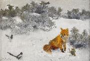 bruno liljefors Fox in Winter Landscape oil painting on canvas